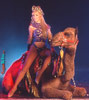 Photo of Melinda, First Lady of Magic & Lucas the camel
