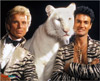 Photo of Siegfried & Roy with white tiger in 1985