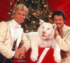 Photo of Siegfried & Roy with baby white tiger at Christmas