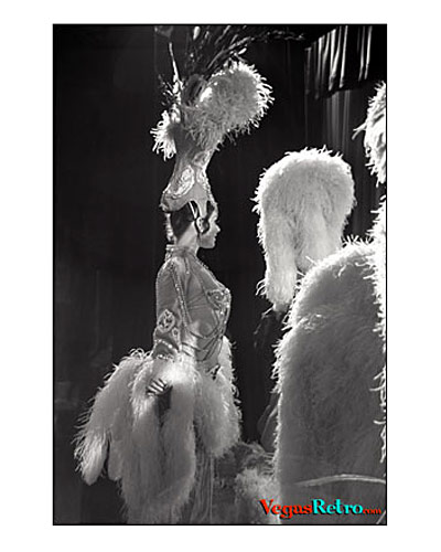 Imagae of Tropicana Showgirls from sidestage