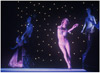 Photo of Hacienda Hotel Ice Show Circa 1978