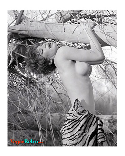 Photo of nude woman in the woods