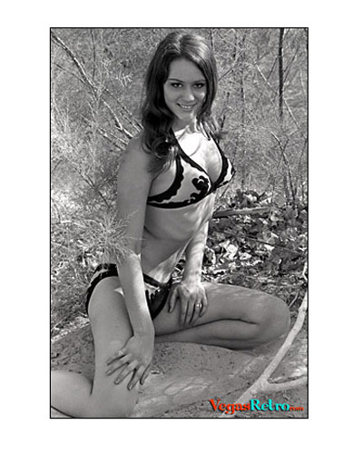 Annette Suzor Visitor Cover