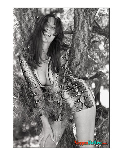 Libby Shannon Vegas Visitor Cover Photo