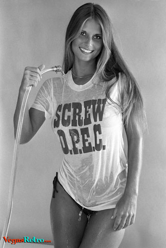 SEXY SMITH - Sexy Susan Smith, winner of every major wet t-shirt contest, has found the answer to the gas crisis.  Her substitute is water.  Sue has found out that by wetting down her t-shirts can easily get a ride anywhere she want to go.  T-shirt donated by Westhills Phillips 66 - the message is evident.