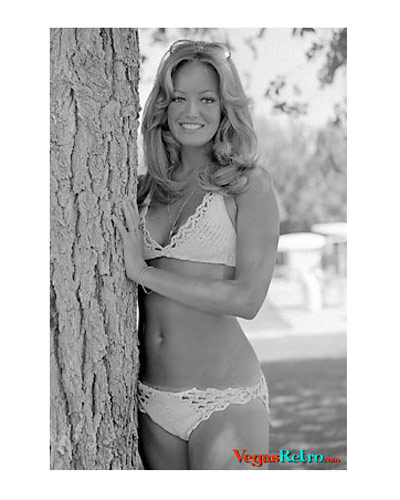 Susan Anton on the Vegas Visitor Cover